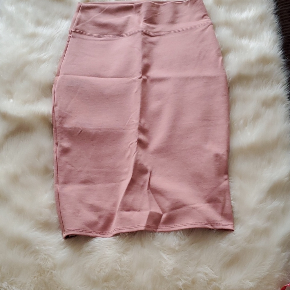 NWT Blush Pencil Skirt